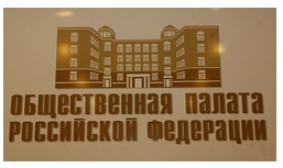 Общественная палата РФ провела слушания по положению соотечественников в Сирии и вопросу их возвращения на историческую родину